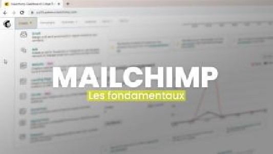 Apprendre Mailchimp : les...